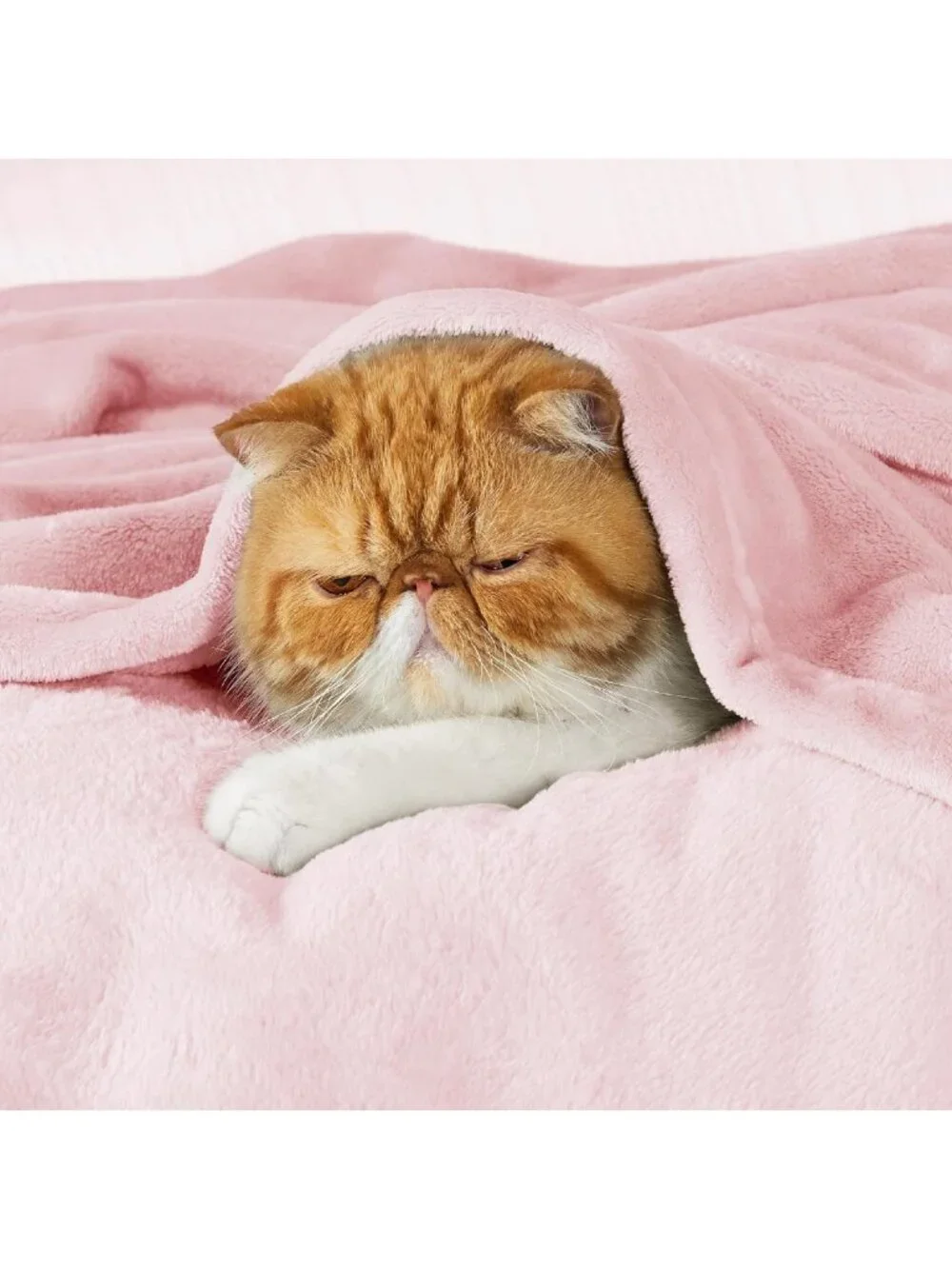 Cozy Pink Fleece Throw Blanket - Soft 300GSM Couch Blanket for Home Decor, 50x60